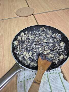 Otroški-parlament (4)